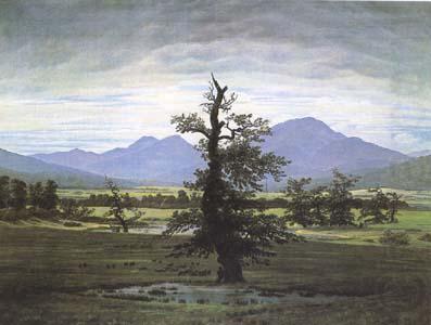 The Lone Tree (mk09`), Caspar David Friedrich